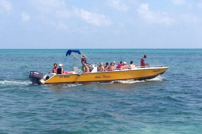 3 Hours Barrier Reef Tour in Caye Caulker, Belize - Getting to the Water: Tropical Paradise Hotel Meeting Point