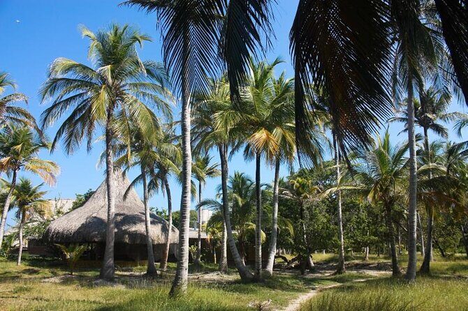 5 islands tour to rosario Islands with snorkeling activity! - Key Highlights You’ll Feel Right Away