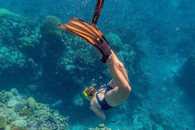 5 islands tour to rosario Islands with snorkeling activity! - Meeting Point at Muelle de los Pegasos: Quick Start, Then Off to the Islands