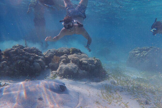All-Inclusive Full-Day Hol Chan Snorkeling Tour - Key highlights before you book