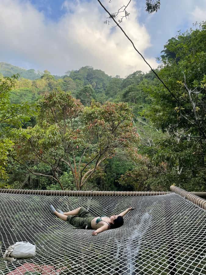 Avistamiento de aves en Minca Sierra Nevada de Santa Marta - Salida 5–5:30 am: el comienzo que acelera todo (y también la logística)