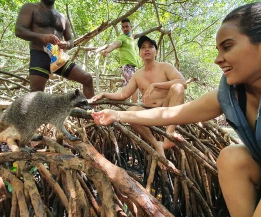 Barú: Club Freedom Beach with Mangrove and Snorkel - Price and value: is $56 fair for a 6-hour package?