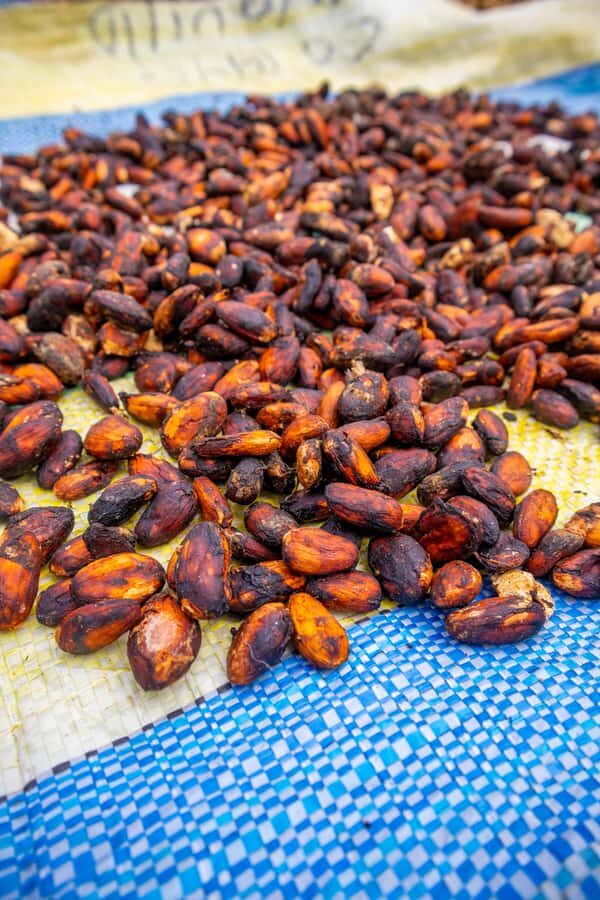 Bean to Bar: Cocoa and Chocolate Workshop - Price and value: is $101 fair for 105 minutes?