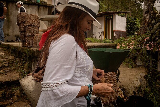 Best Coffee Tour from Medellin with Lunch and Transportation - Timing and transportation: plan your day around a smooth 6.5 hours