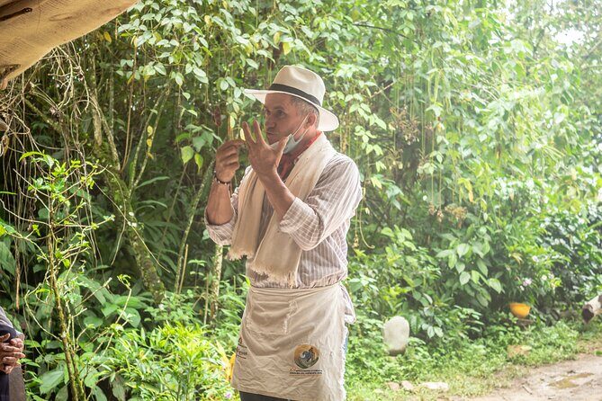 Best Coffee Tour from Medellin with Lunch and Transportation - The San Jerónimo farm: coffee process, history, and tastings