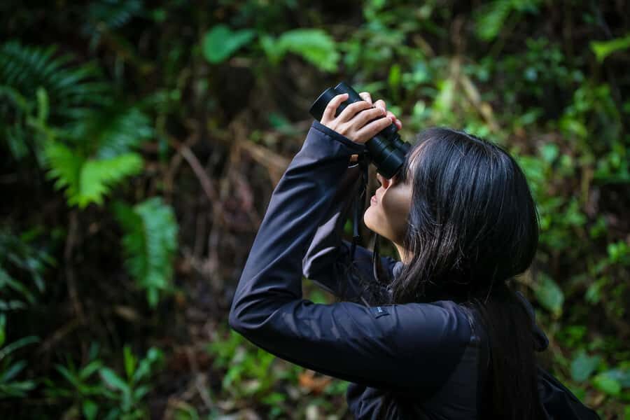 Birding Medellin with expert bird-watcher (Private) - Meeting at La Estrella Metro: easiest start for most visitors
