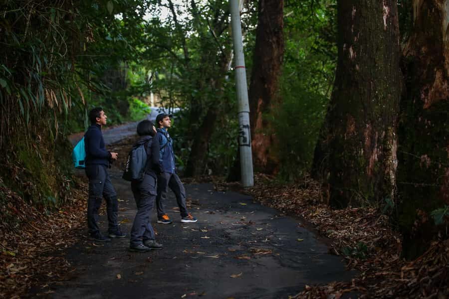 Birding Medellin with expert bird-watcher (Private) - Food, water, and the small comfort details that matter