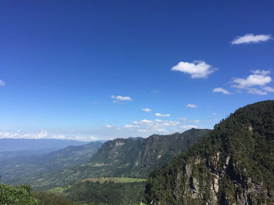 Birdwatching Day Tour at Chicaque Natural Park - Crowds, Noise, and Why Your Weekend Choice Can Change Everything