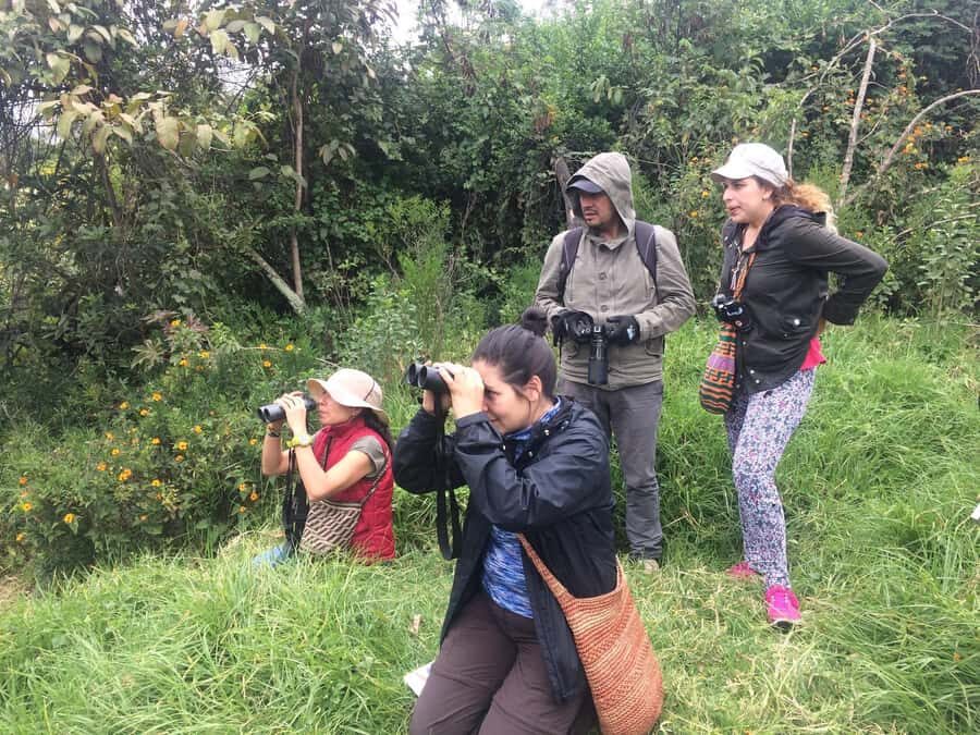 Birdwatching Day Tour at Chicaque Natural Park - Price and What $93 Covers (Real Value, Not Just a Pretty Location)