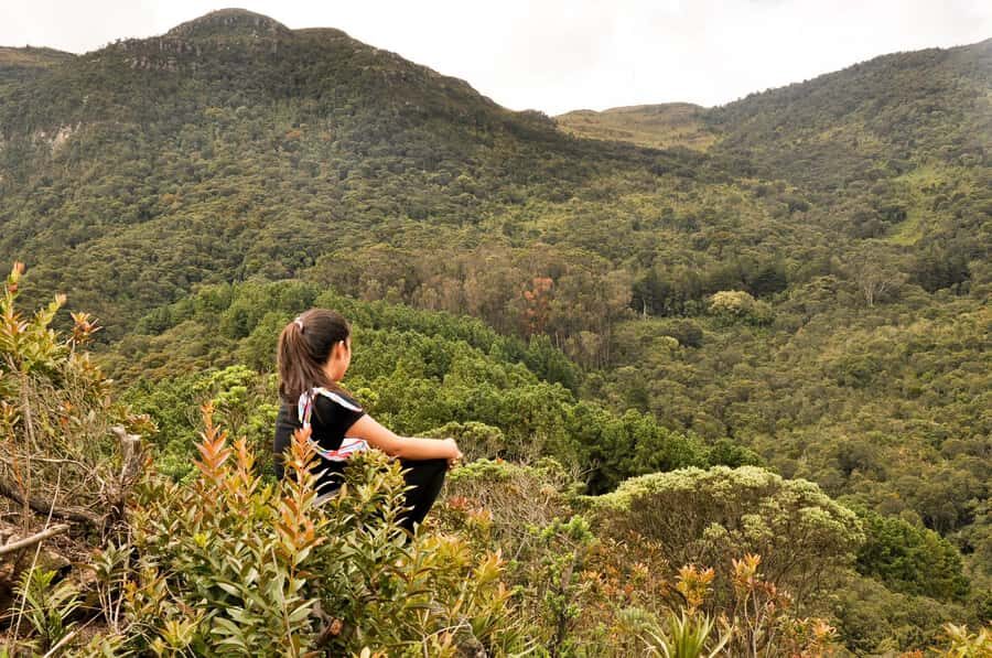 Bogota: East Hills Mountain Hike - East Hills Views with More Nature, Less Noise
