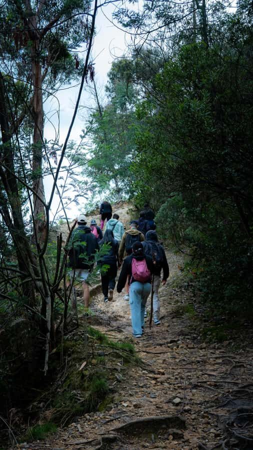 Bogota: East Hills Mountain Hike - After the Hike: Back to Bogotá’s Zona G