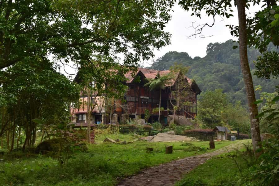 Bogota: Explore the forest and bird watching at Chicaque Natural Park - Key things I’d prioritize