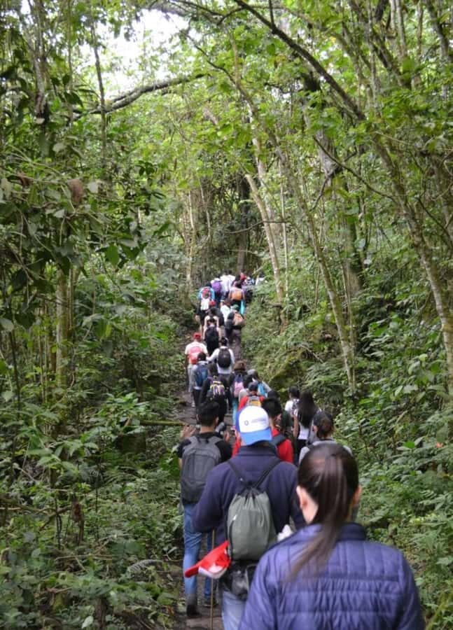 Bogota: Explore the forest and bird watching at Chicaque Natural Park - Chicaque Cloud Forest: Why It Works as a Day Trip