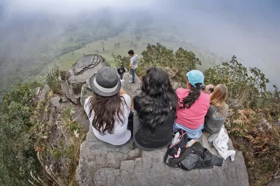 Bogota: Explore the forest and bird watching at Chicaque Natural Park - Trail Time: Short Routes vs Longer Hikes That Feel Flexible