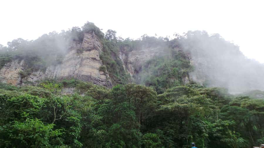 Bogota: Explore the forest and bird watching at Chicaque Natural Park - The Chicaque Waterfall Moment: Sound, Setting, and a Moderate Effort