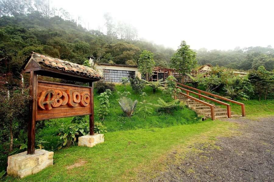 Bogota: Explore the forest and bird watching at Chicaque Natural Park - Birdwatching and Photos After Lunch: Make It Yours