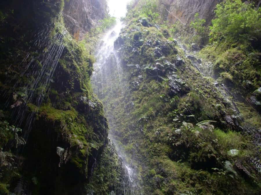 Bogota: Explore the forest and bird watching at Chicaque Natural Park - Price and Value: What $127 Covers and Why It Adds Up