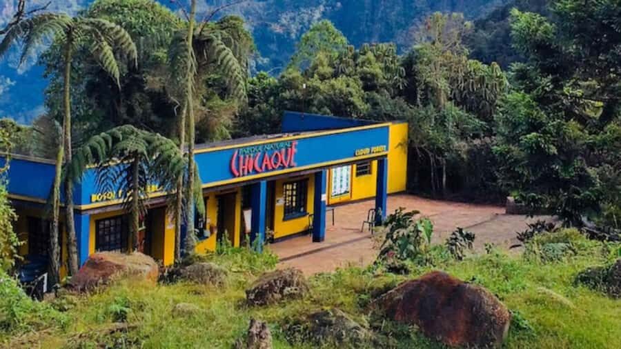 Bogota: Explore the forest and bird watching at Chicaque Natural Park - Getting There From Bogota Without the Headache