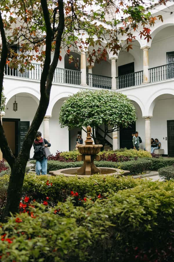 Bogotá: Express Tour with Private Guide and Transportation - Guide quality: why the explanations matter here