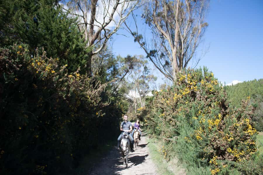 Bogota: Horseback Riding Tour - The 3,200-Meter Ride: What the Climb Feels Like