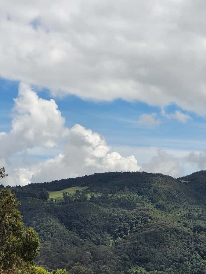Bogota: Private Tour to Monserrate and Guadalupe - Guide quality makes or breaks hill tours