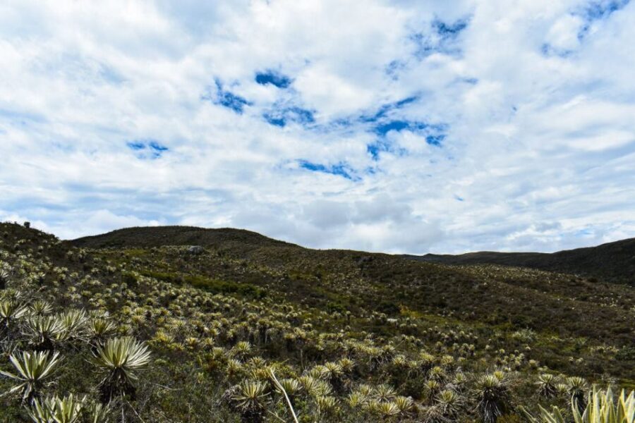 Bogotá: Sumapaz National Park Hike Tour - Preservation matters: why the páramo affects stability far beyond the trail