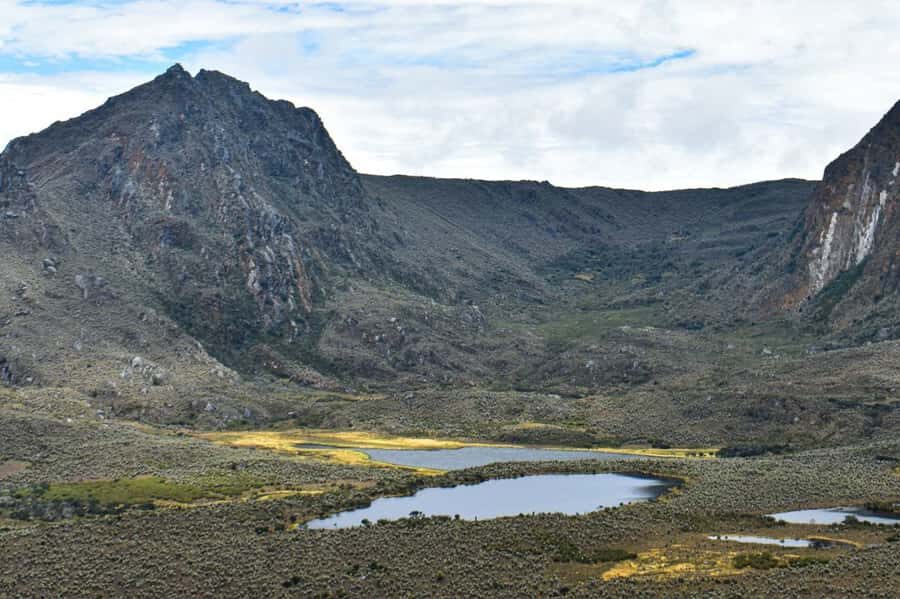Bogotá: Sumapaz National Park Hike Tour - Price and what you actually get for $136