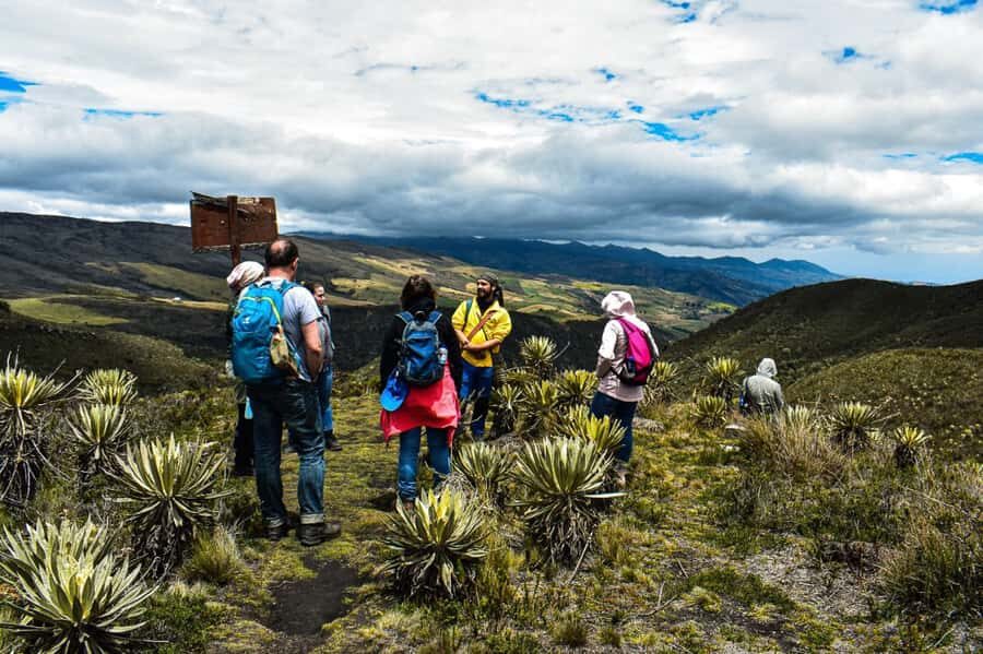 Bogotá: Sumapaz National Park Hike Tour - Gear, weather, and staying comfortable in cold mist at altitude
