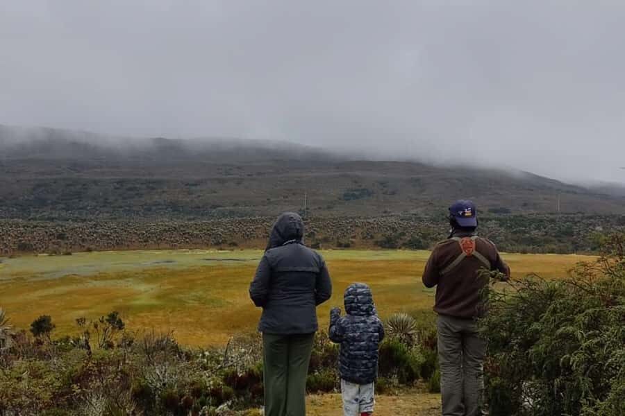 Bogotá: Sumapaz National Park Hike Tour - The 8-hour rhythm: pickup, altitude, and the hike’s main climb