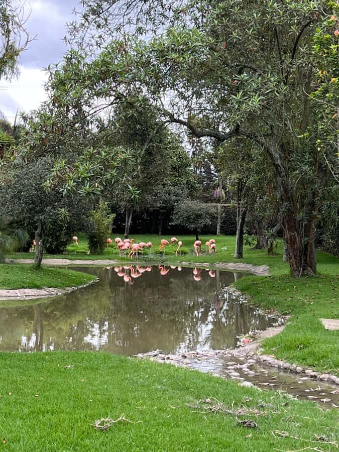 BOGOTA: Tour of Jaime Duque Park, Zoo, and Aerospace Museum - Price and value: What $117 buys in a 6-hour package