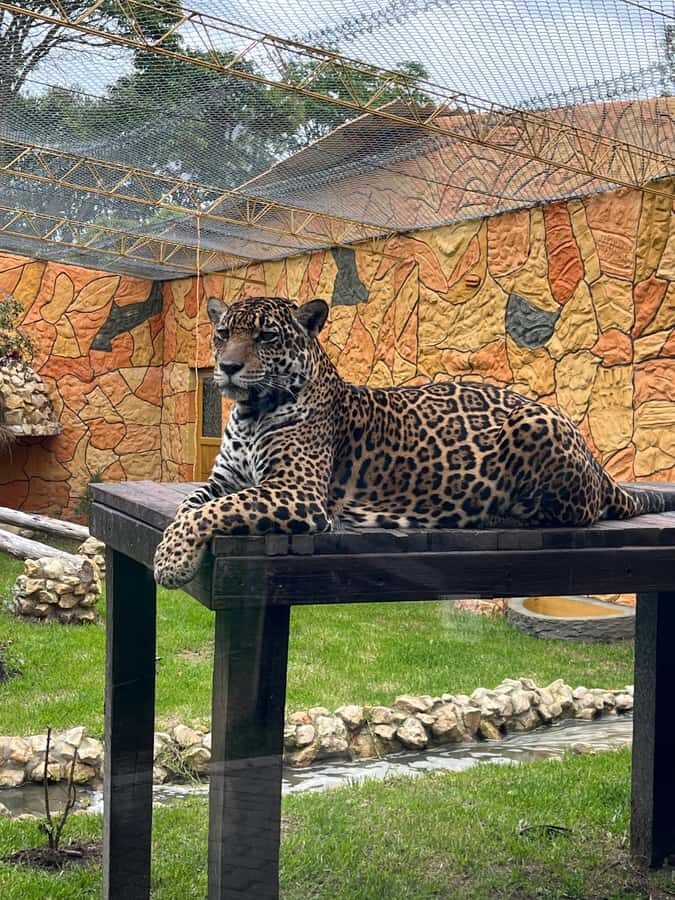 BOGOTA: Tour of Jaime Duque Park, Zoo, and Aerospace Museum - Aerospace Museum: Aircraft and space milestones in a single stop