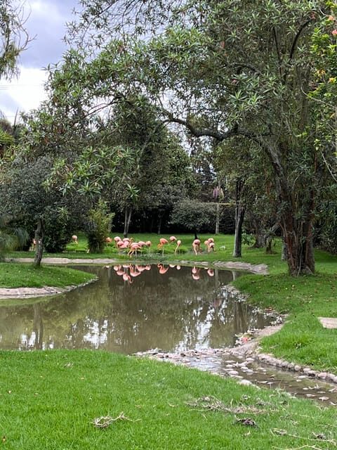 BOGOTA: Tour of Jaime Duque Park, Zoo, and Aerospace Museum - Medieval Castle: Knights and princesses with real room-to-room exploration