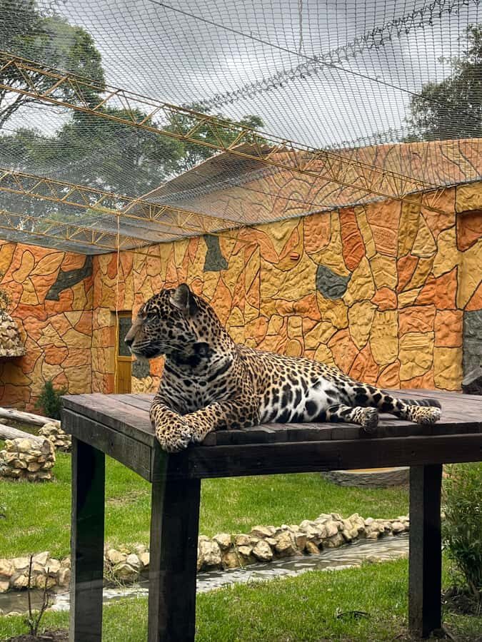 BOGOTA: Tour of Jaime Duque Park, Zoo, and Aerospace Museum - Tocancipá photo stop and regional lunch: A short local flavor break
