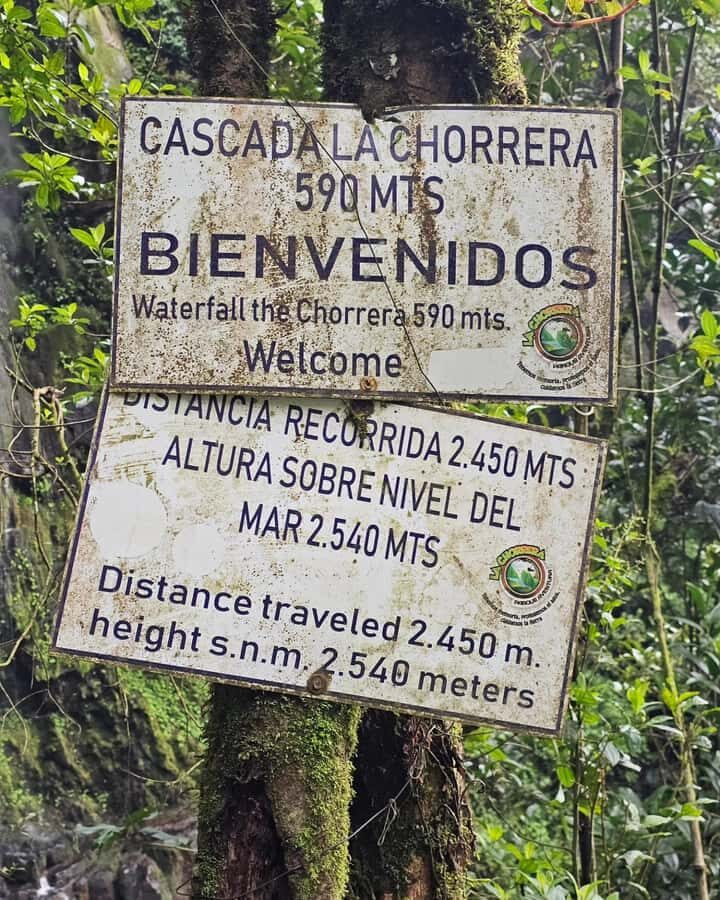 Bogotá: Visit Colombia's Highest Waterfalls & Guadalupe Hill - La Chorrera: standing face-to-face with a 590-meter drop