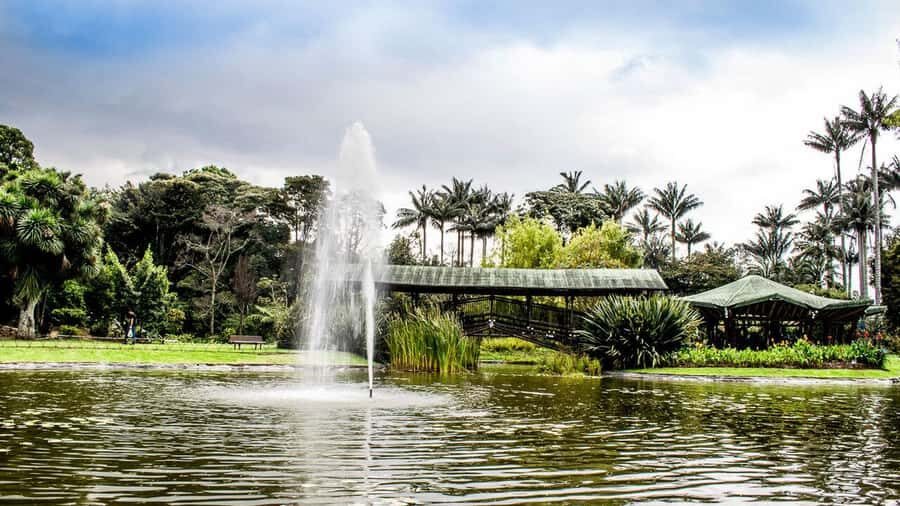 BOGOTA: Visit to the Botanical Garden and Ugly Betty's House - Price and value: what $50 covers (and what it doesn’t)