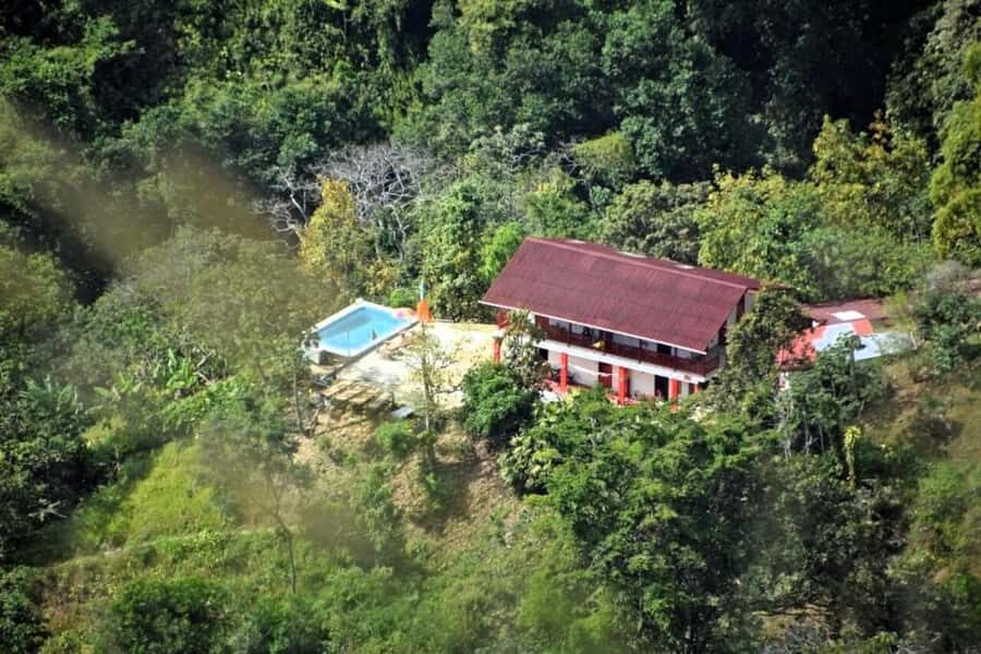 Cacao and Coffee Tour - The Coffee Farm Tour: You Learn the Types, Then You Taste
