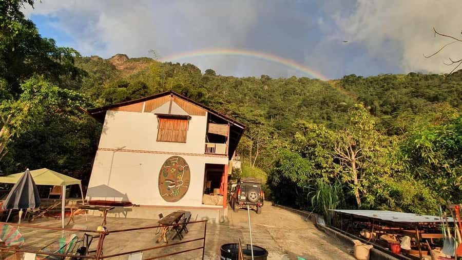 Cacao and Coffee Tour - Lunch for $25,000 COP: A Local Reset Before the Walk Back