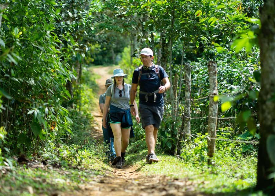 Cali: Hiking to the Pance waterfalls - Pance waterfalls and river crossings: the refreshing payoff