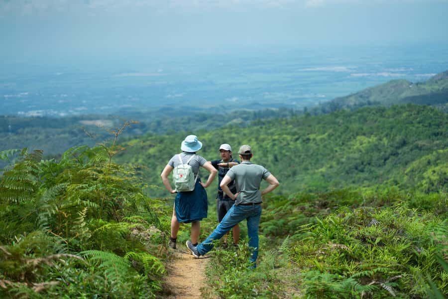 Cali: Hiking to the Pance waterfalls - Wildlife expert moments: spotting birds without needing binoculars forever