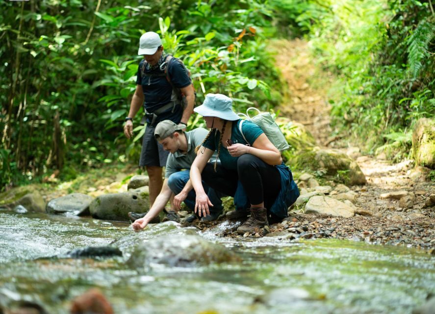 Cali: Hiking to the Pance waterfalls - Lunch in the region: fuel for a wet, active day