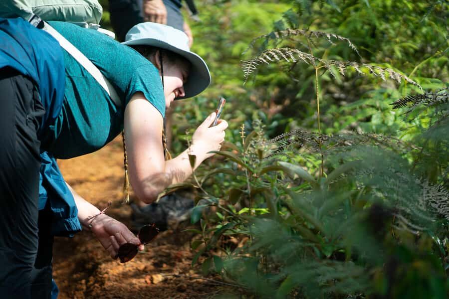 Cali: Hiking to the Pance waterfalls - Safety and who this tour is for (and who should skip it)