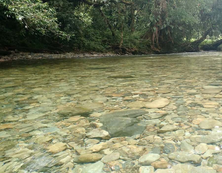 Cali: San Cipriano & River Adventure Day Tour - Lunch with locals: budget it and keep it flexible
