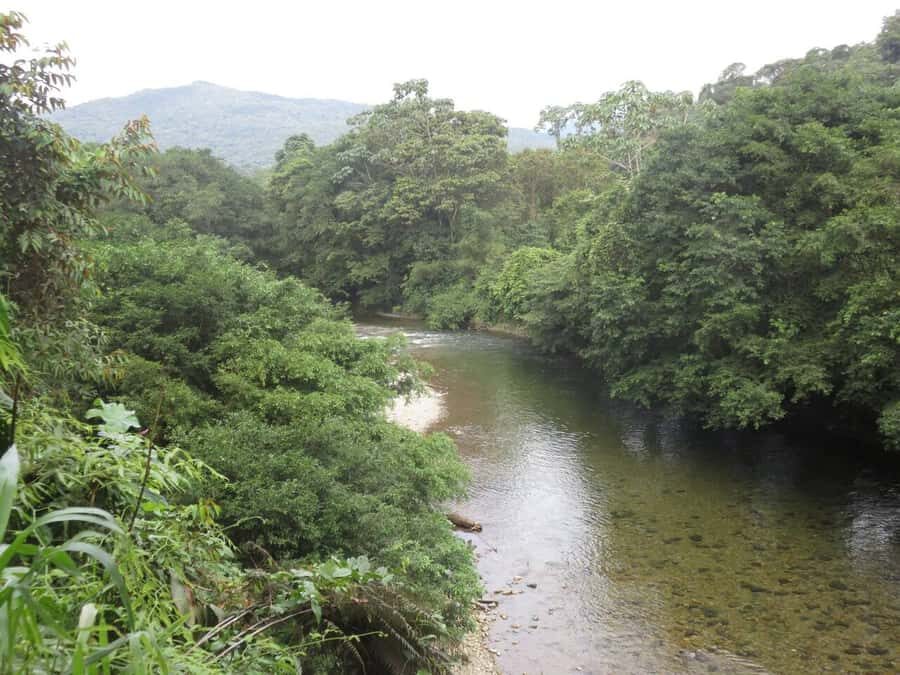 Cali: San Cipriano & River Adventure Day Tour - What to pack for a Cali-to-river day (and what to skip)