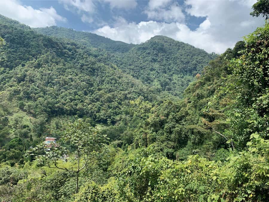 Cali: Tour of Waterfall in Pance River - Chorrera del Indio - Price and value: what $60 actually gets you