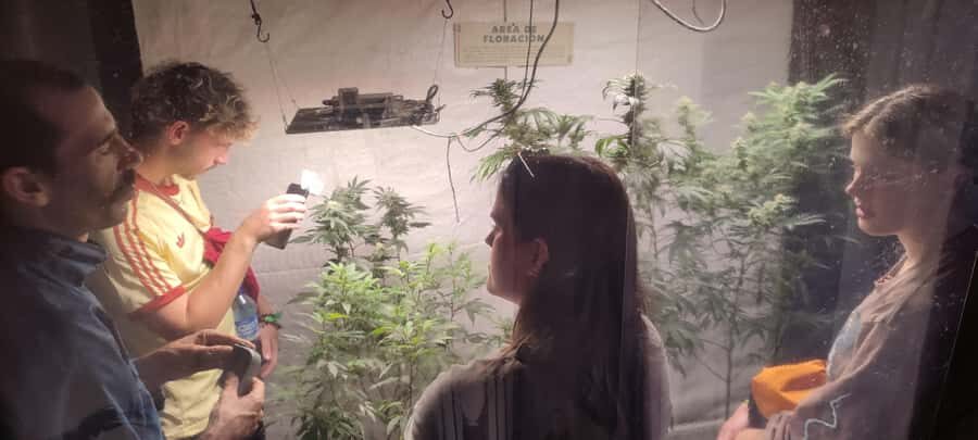 CANNABIS EXPERIENCE - Key highlights worth choosing this over a casual stop