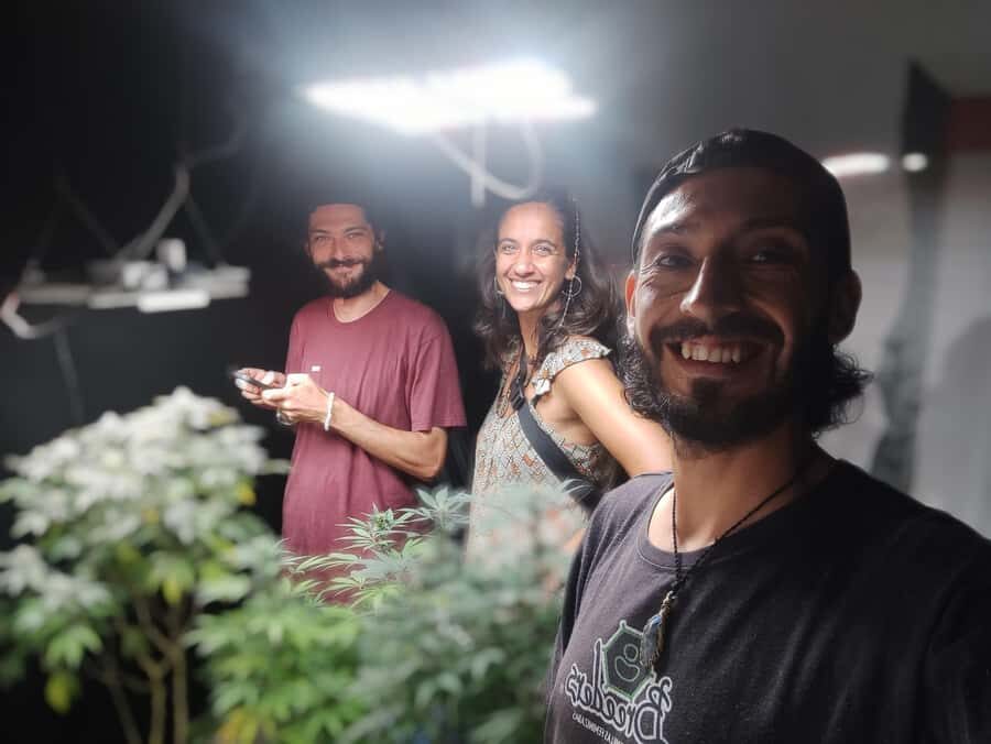 CANNABIS EXPERIENCE - Where the experience starts: Grow Ganja Coffee Shop in Salento