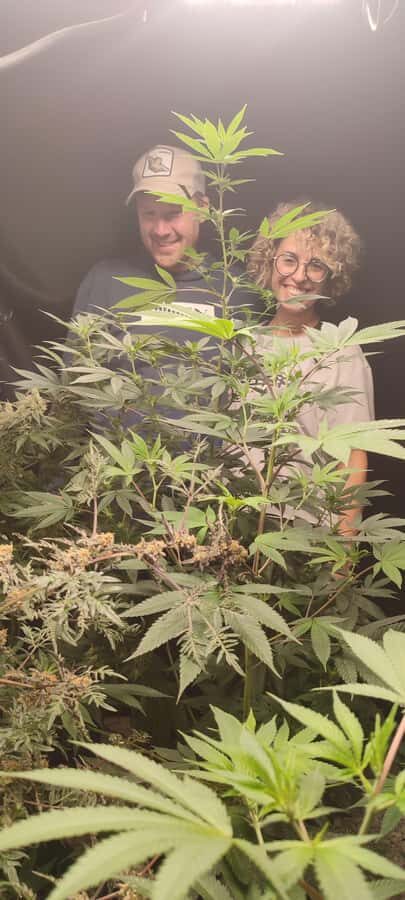CANNABIS EXPERIENCE - Price and value: is $64 reasonable for 2 hours?