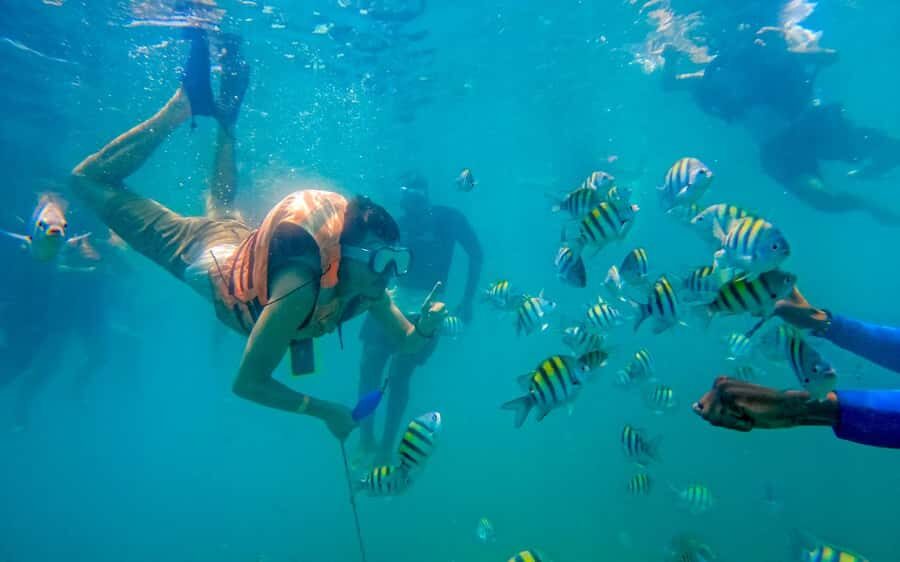 Cartagena: 5 Island Boat Tour with Night Bioluminescent Stop - How the day is paced: transfers, photo stops, and group comfort