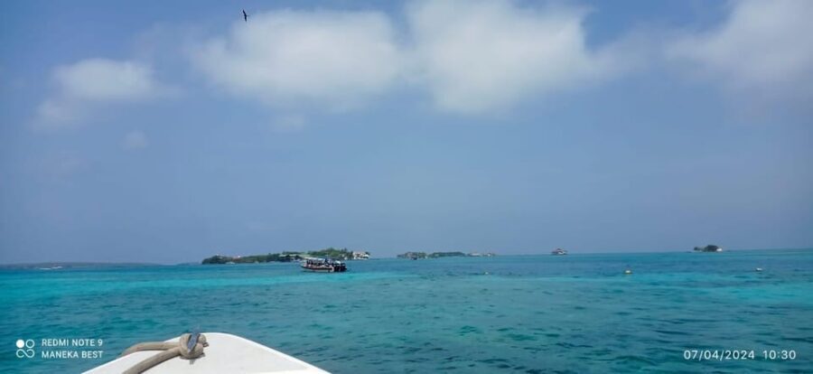 Cartagena: 5 ISLANDS by speedboat with SNORKELING & LUNCH - Cholón: Live Music, Seafood Cocktail, and the Party Energy Check