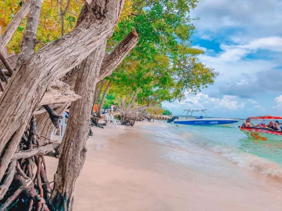 Cartagena: 5 ISLANDS by speedboat with SNORKELING & LUNCH - Barú Agua Azul: Swimming Time Where the Water Looks Like It Wants to Be a Postcard